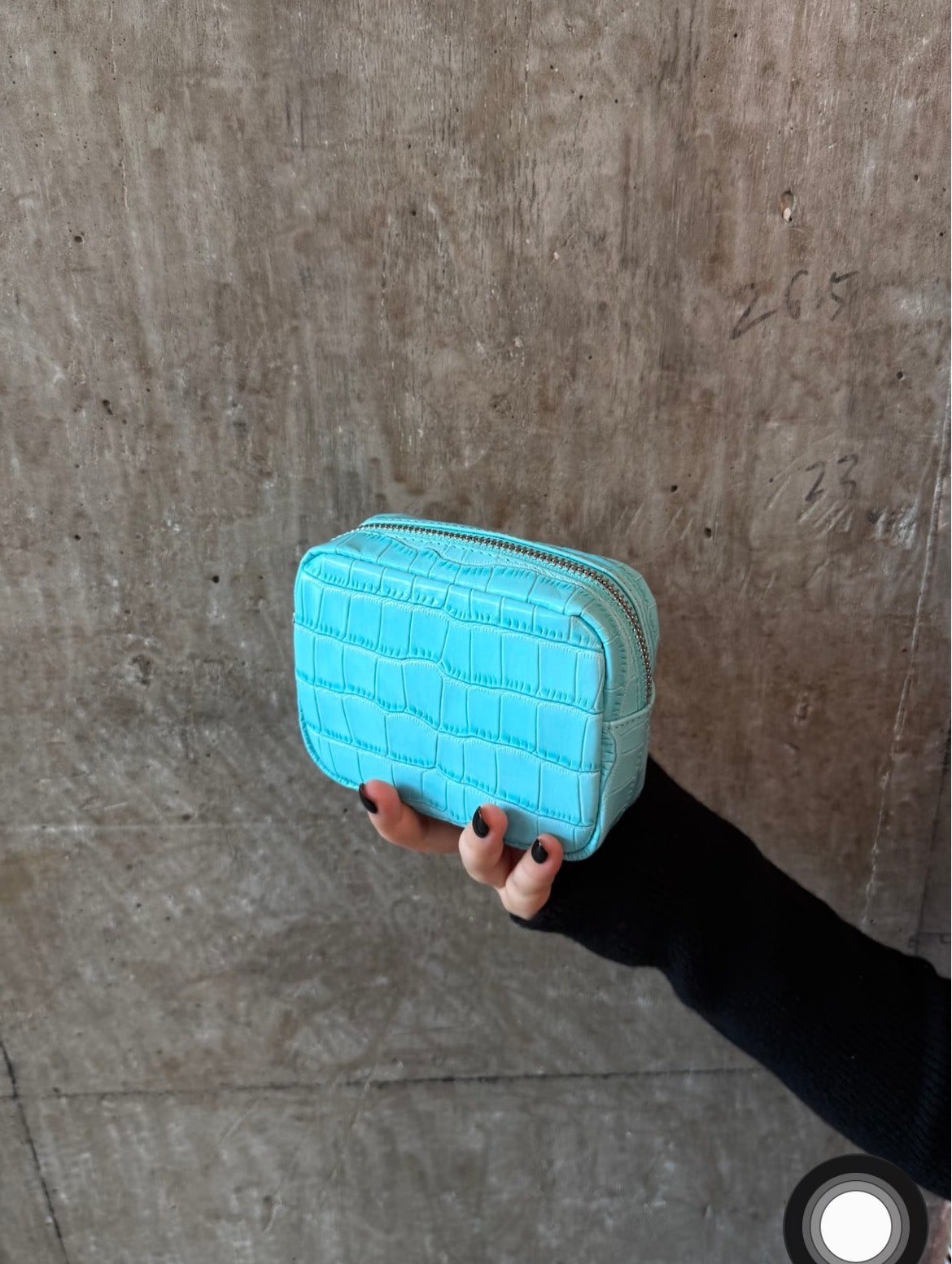 Vetra Croc Pouch