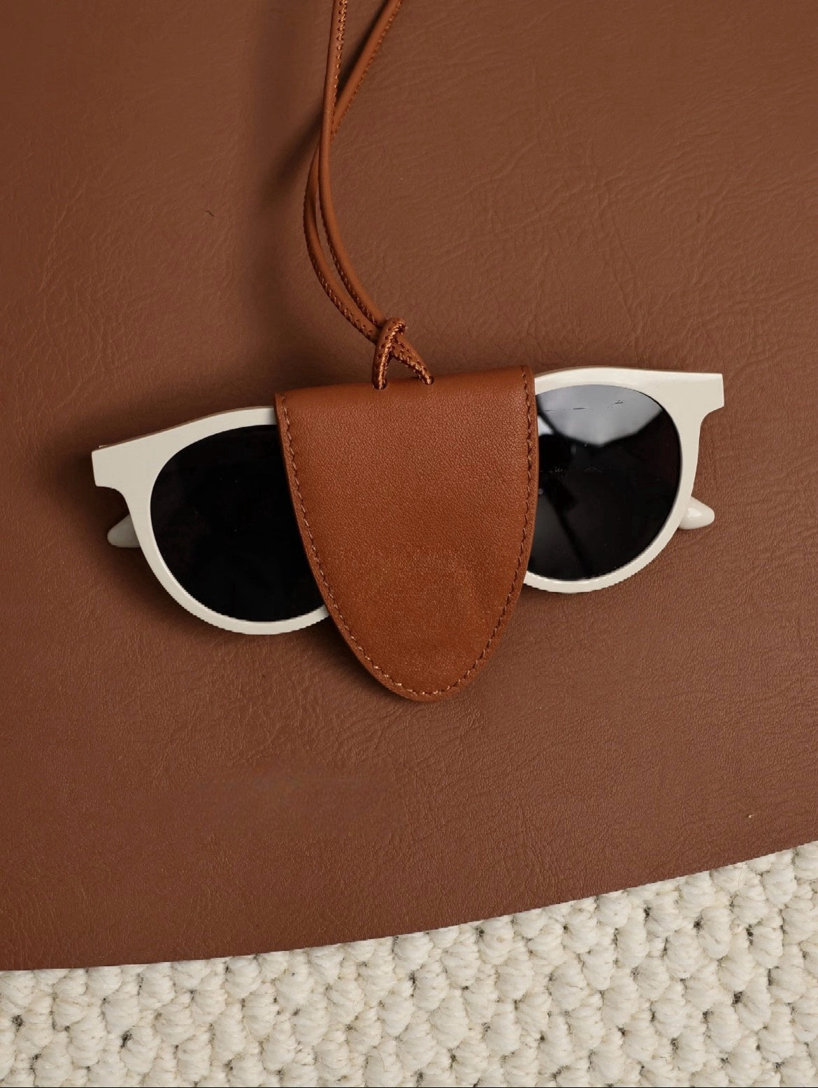 Sunglasses clip