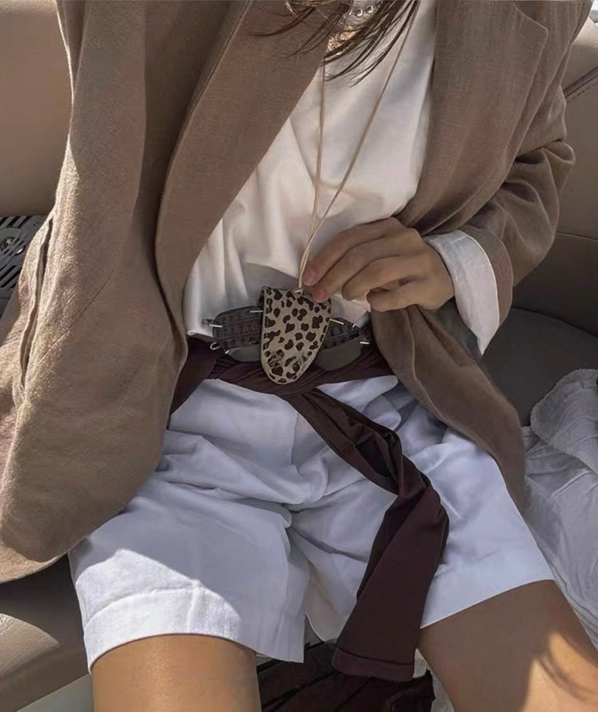 Sunglasses clip