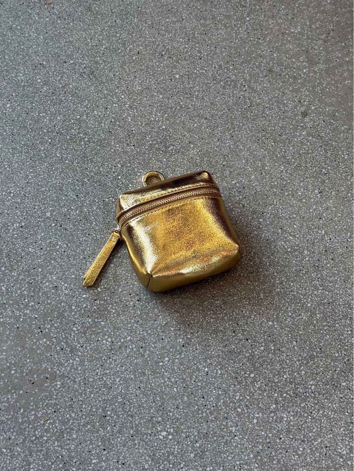 Siva Metallic Mini Pouch