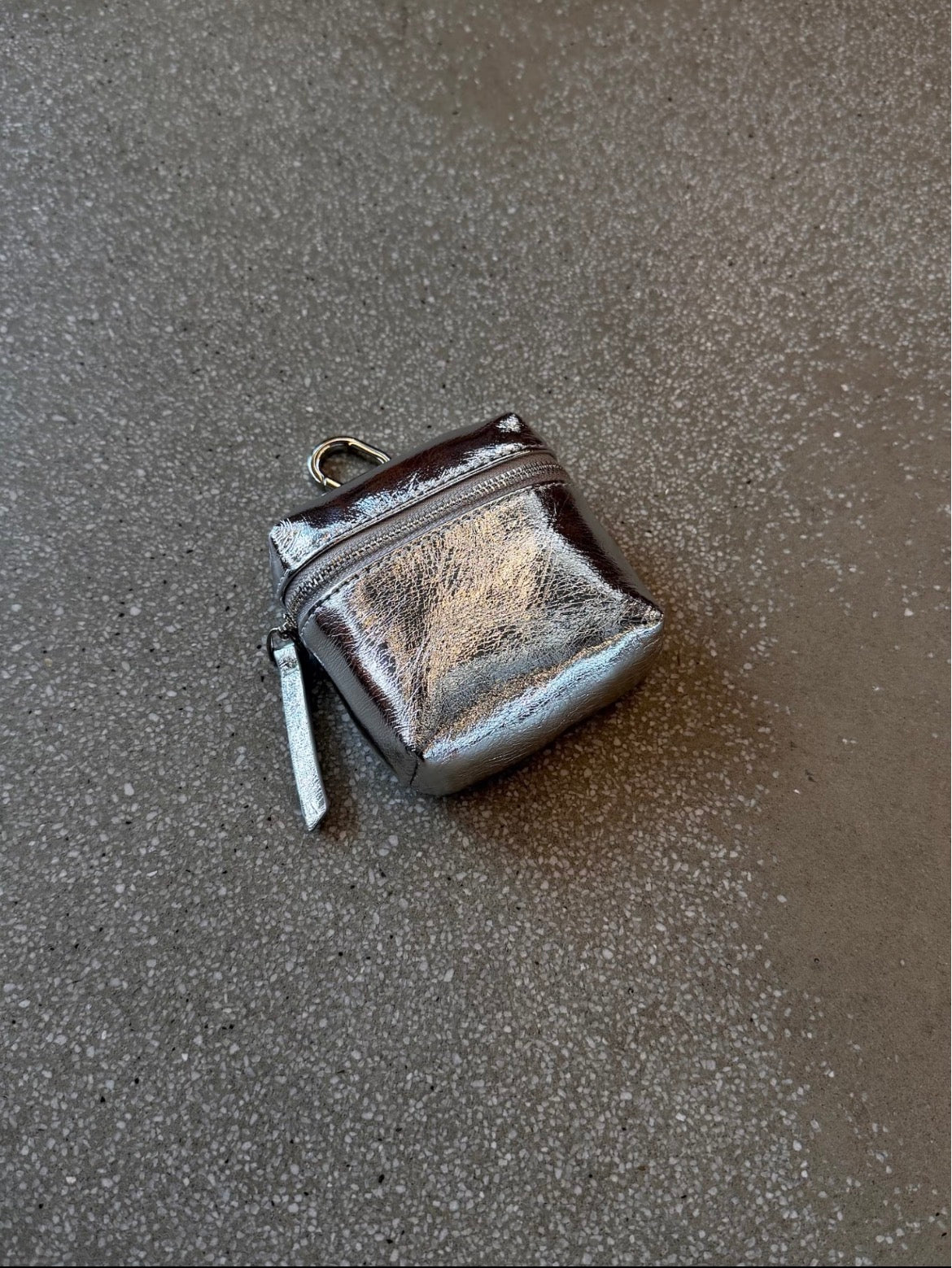 Siva Metallic Mini Pouch