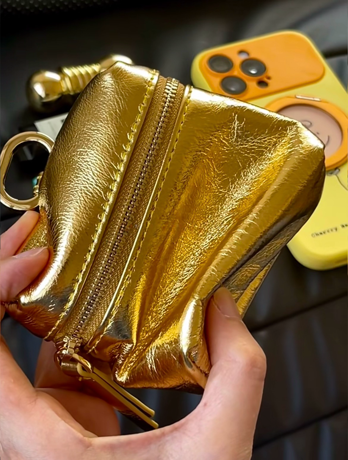Siva Metallic Mini Pouch