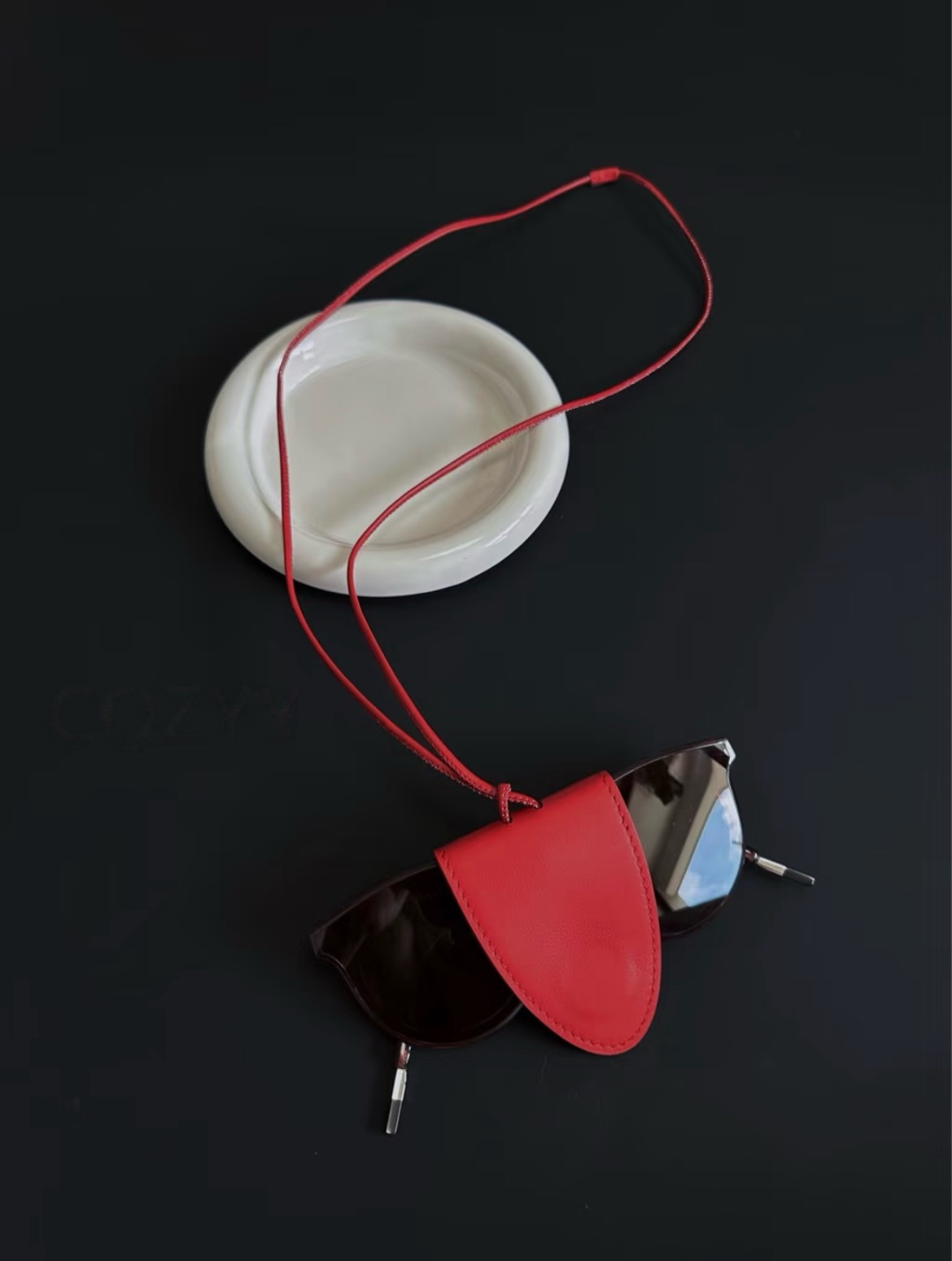 Sunglasses clip