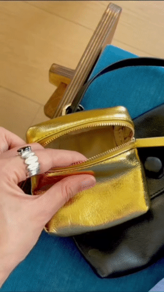 Siva Metallic Mini Pouch