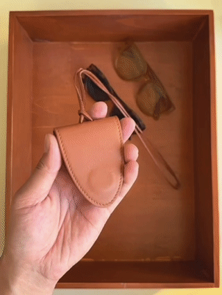 Sunglasses clip